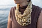 Carte Cowl