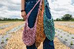 Farmstand Sack