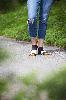 Toe Up Larch Peds