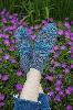 Toe Up Larch Peds